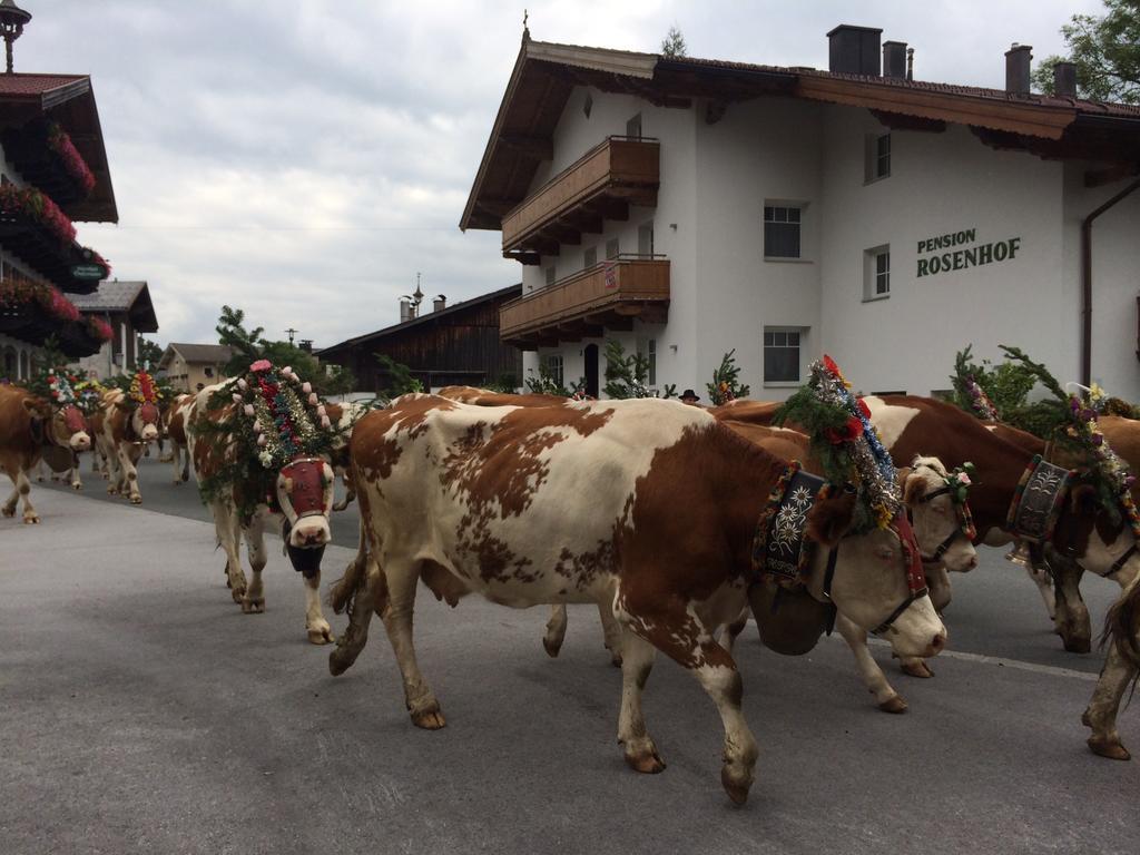 Pension Rosenhof Brixen im Thale Ngoại thất bức ảnh